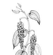 Royal D Farms Private Limited